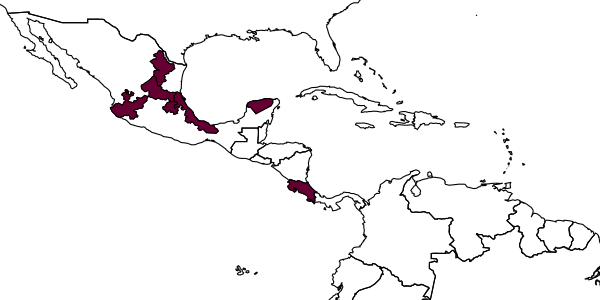 map of Ptiloglossa hoplopoda     Moure, 1987
